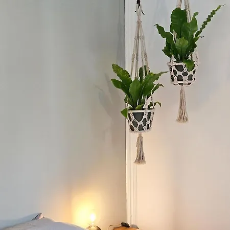 Beautiful With Spacious Garden, Cleaning Included Hébergement de vacances Voorthuizen