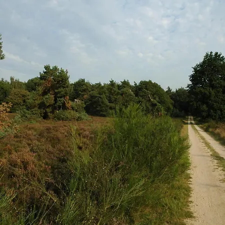 Beautiful With Spacious Garden, Cleaning Included Voorthuizen